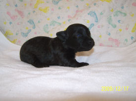 click here to see me grow