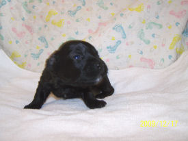 click here to see me grow