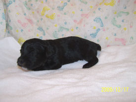 click here to see me grow