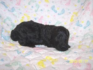 click here to go to my page